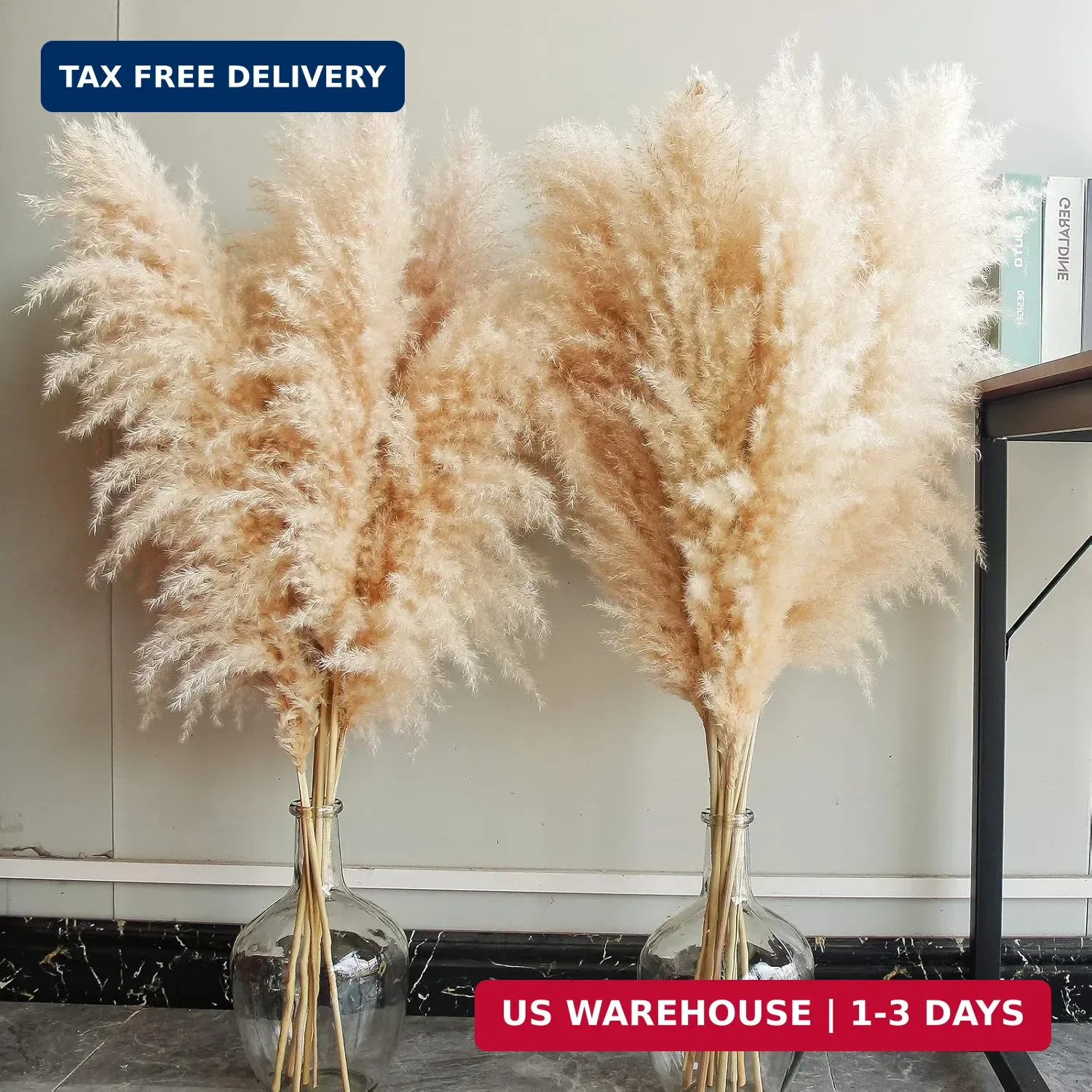 40″ inch 10 Stems Natural Pampas Grass Decor Tall, pompas Grass, Tall Pampas Gra