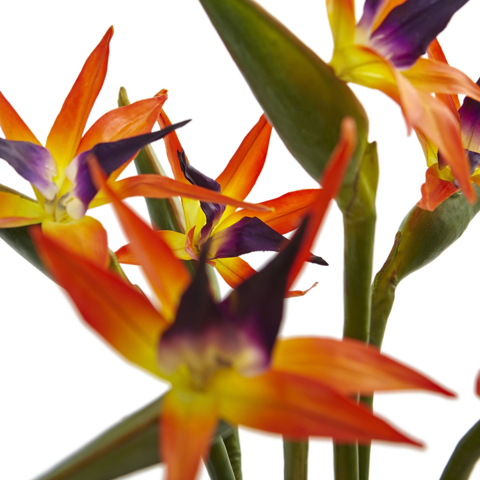 24 Inch Bird of Paradise Faux Plant in Black Glossy Cylinder Planter Vibrant