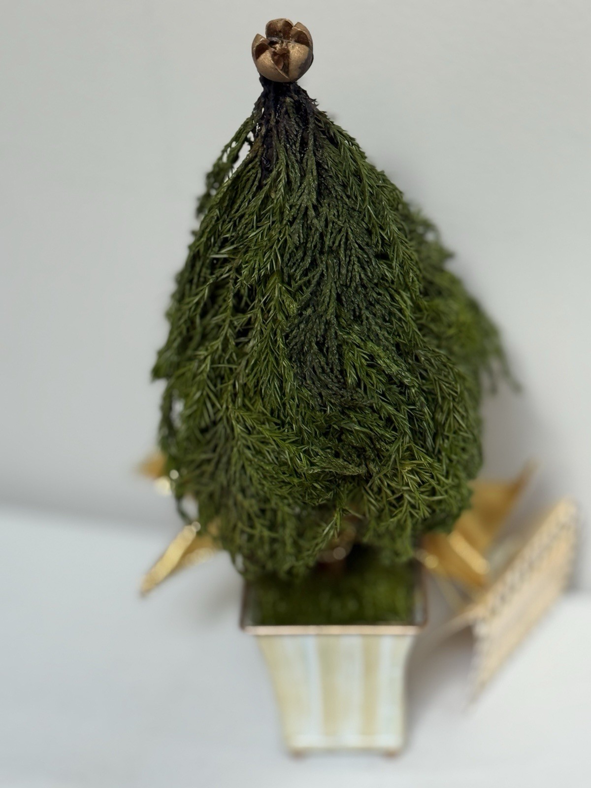NEW Mackenzie Childs Evergreen Accents Topiary Mocha Check/Stripe 9” Tall