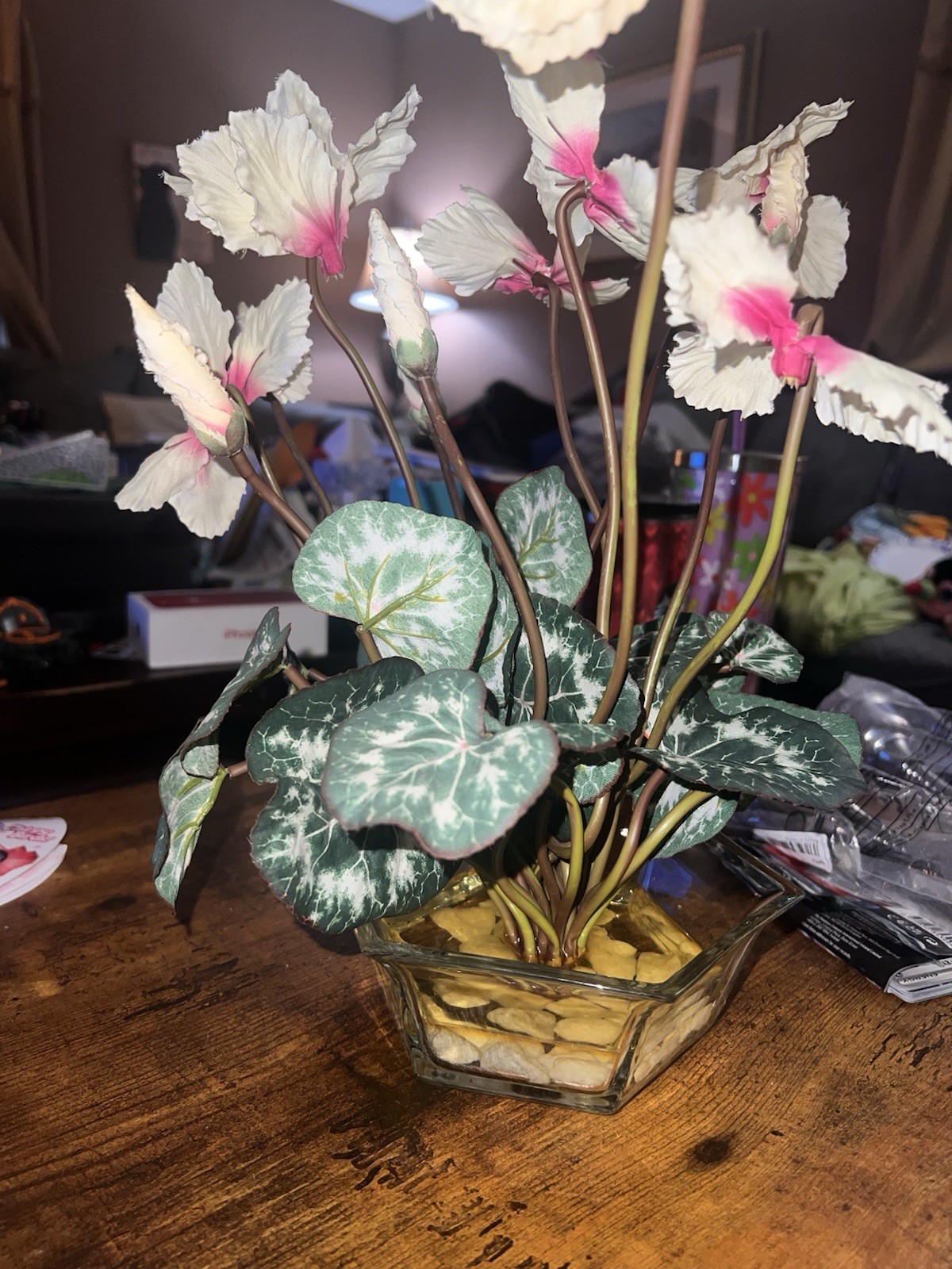 Artificial Cyclamen Persicum House Plant, Glass Dish w/ Water & Rocks