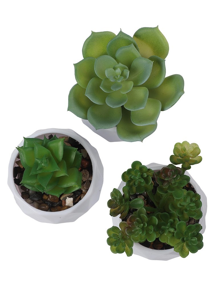 3pcs Elegant Artificial Succulent Plants for For home and Office Display