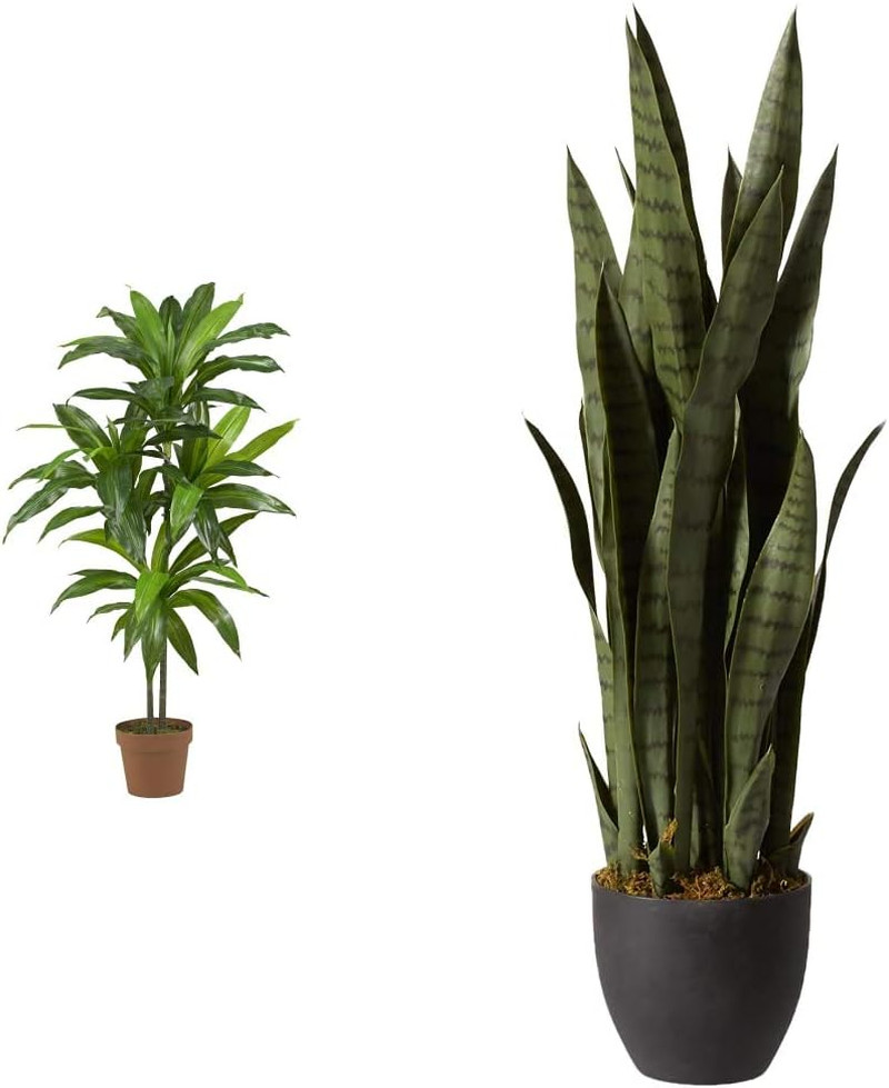 Real Touch Dracaena & Sansevieria Silk Plants with Black Planter – 43In & 35In