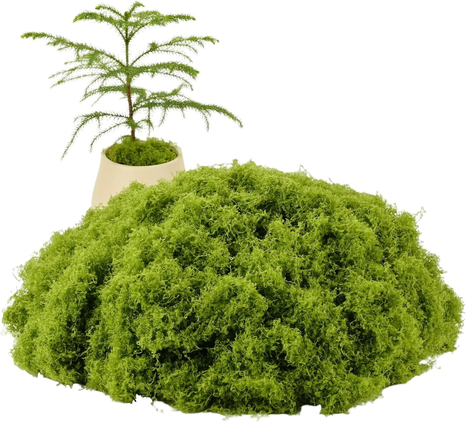 Green Moss Crafts, Artificial Grass Forest Potted Plants, DIY Craft Decoration f