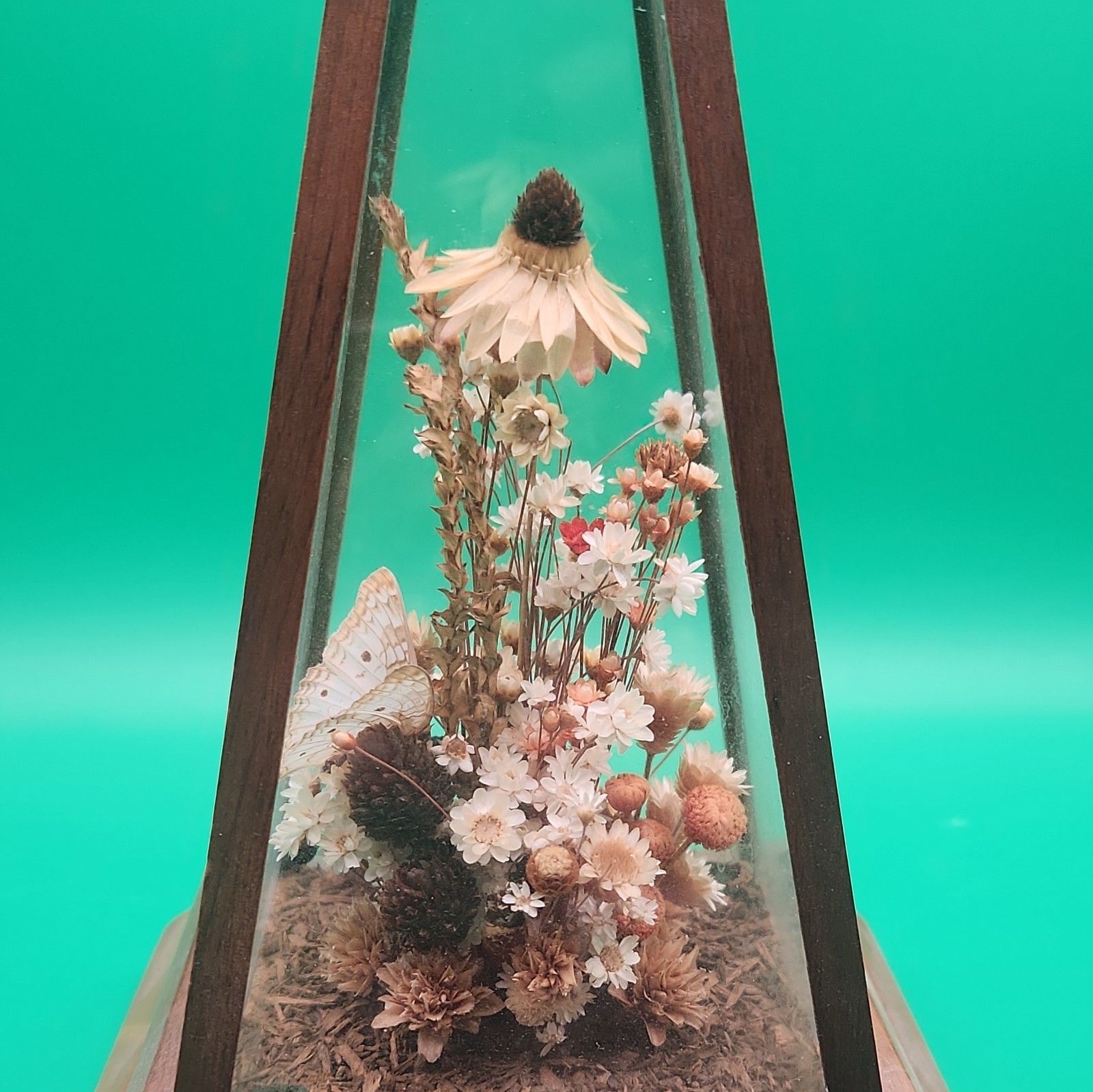 Vintage Dried Flowers With Butterfly 9” x6” Art obelisk glass box