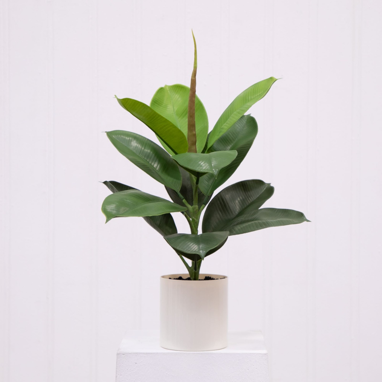 20″H Artificial Indoor Fiddle Leaf Fig Plant in Plastic Vanilla Planter
