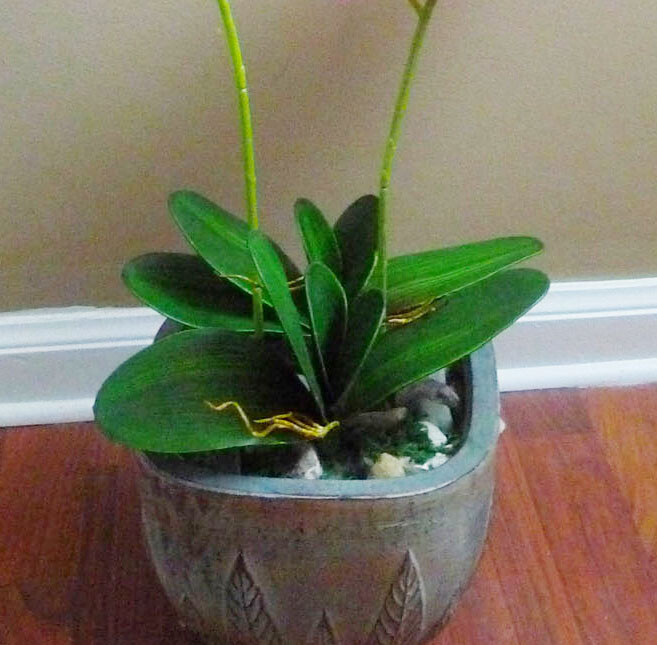 Butterfly Orchid Leaf Bush Grasses Set of 2 Pcs Orchid Flower Decoration