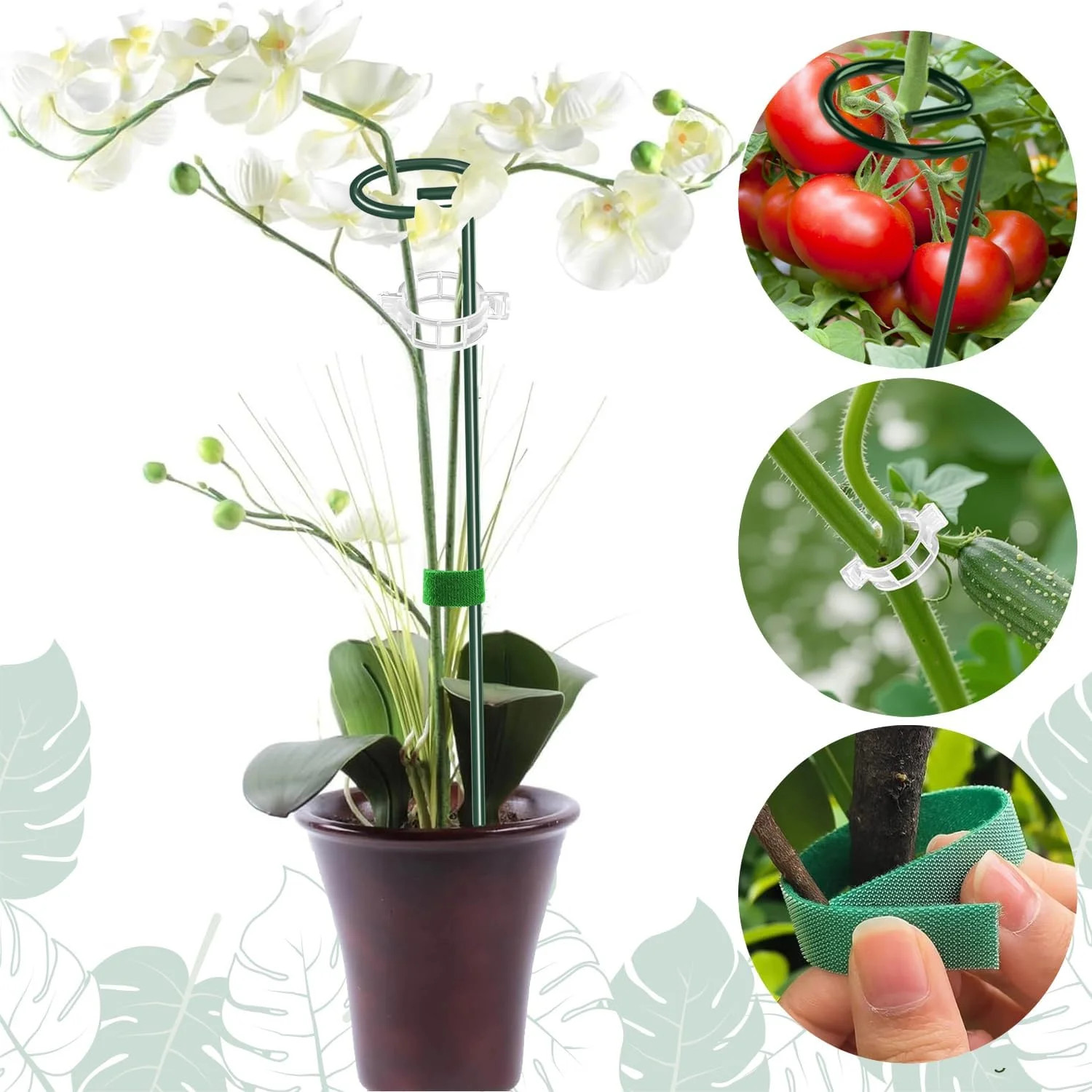 6 Pack 24 Inch Plant Support Stakes,Extendable Plant Stakes,Orchid Sticks with C