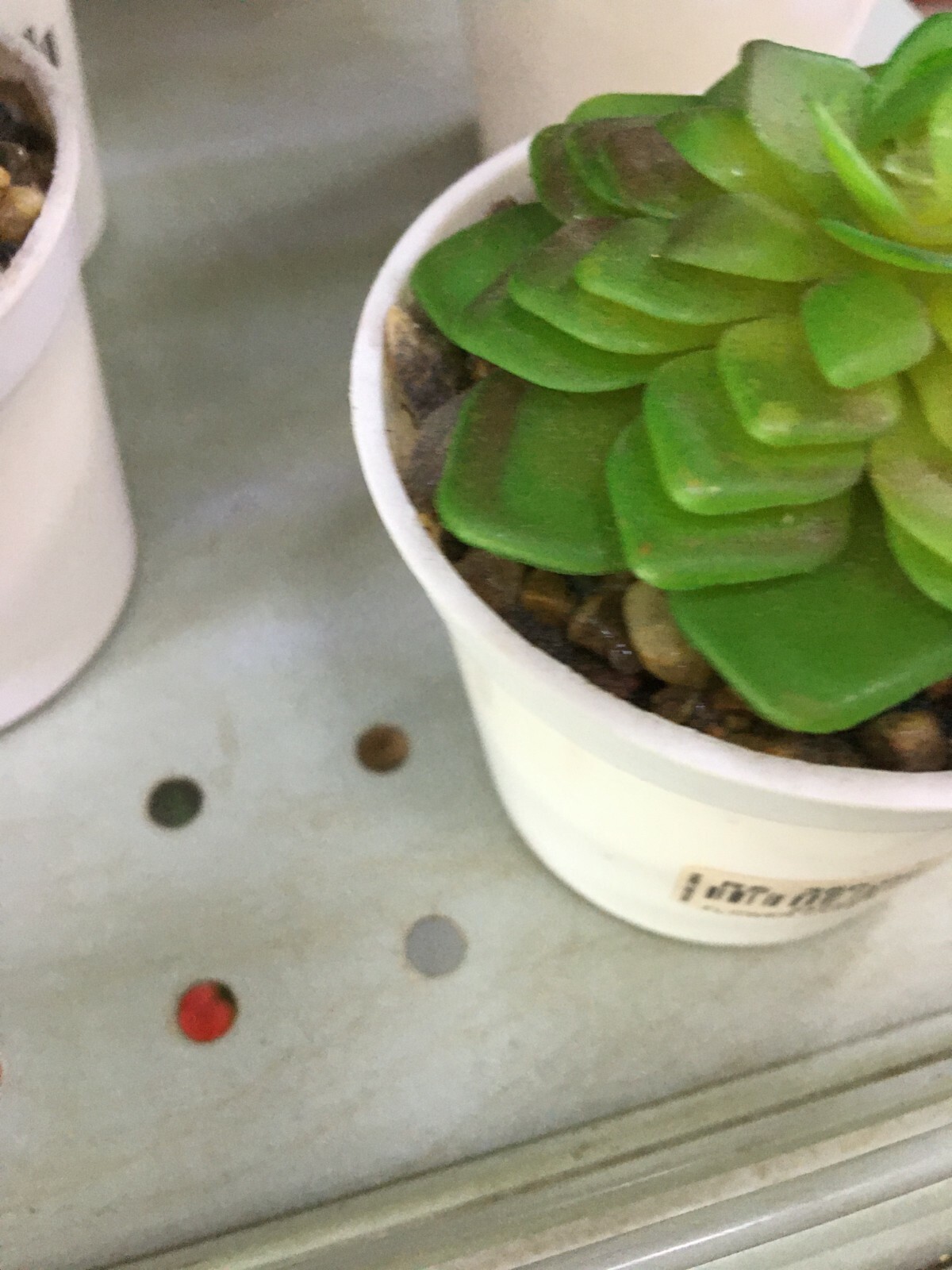 Artificial Plastic Small Water Dust Proof Cactus Tree Pot