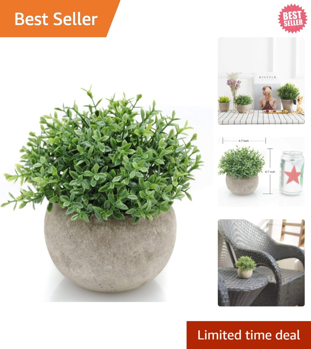 Elegant Mini Boxwood Topiary Plant – Dust Resistant and Eco-Friendly Decor