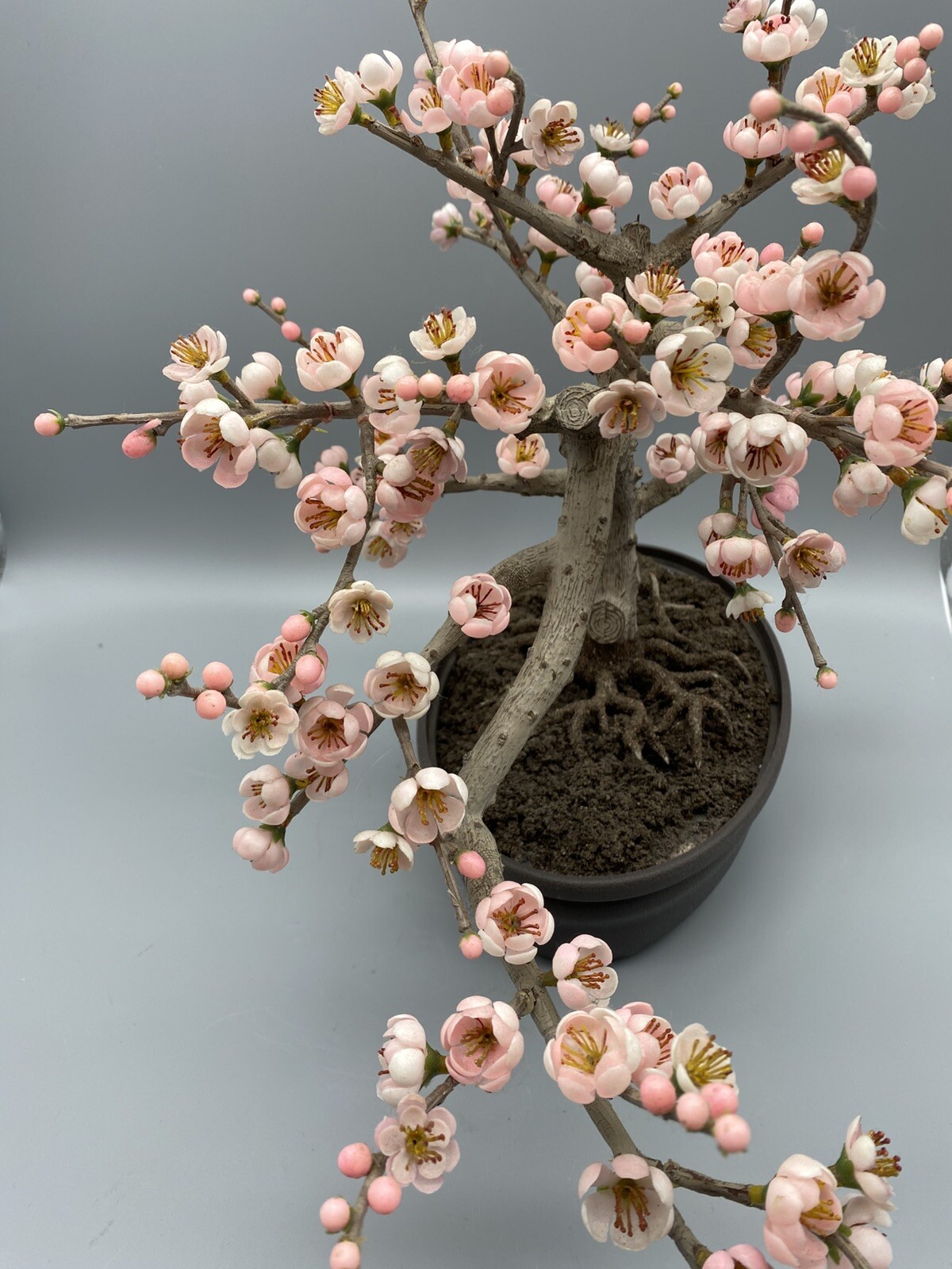 Nearly Natural Artificial Trees 15″ Cherry Blossom Plastic Pot Indoor Black/Pink
