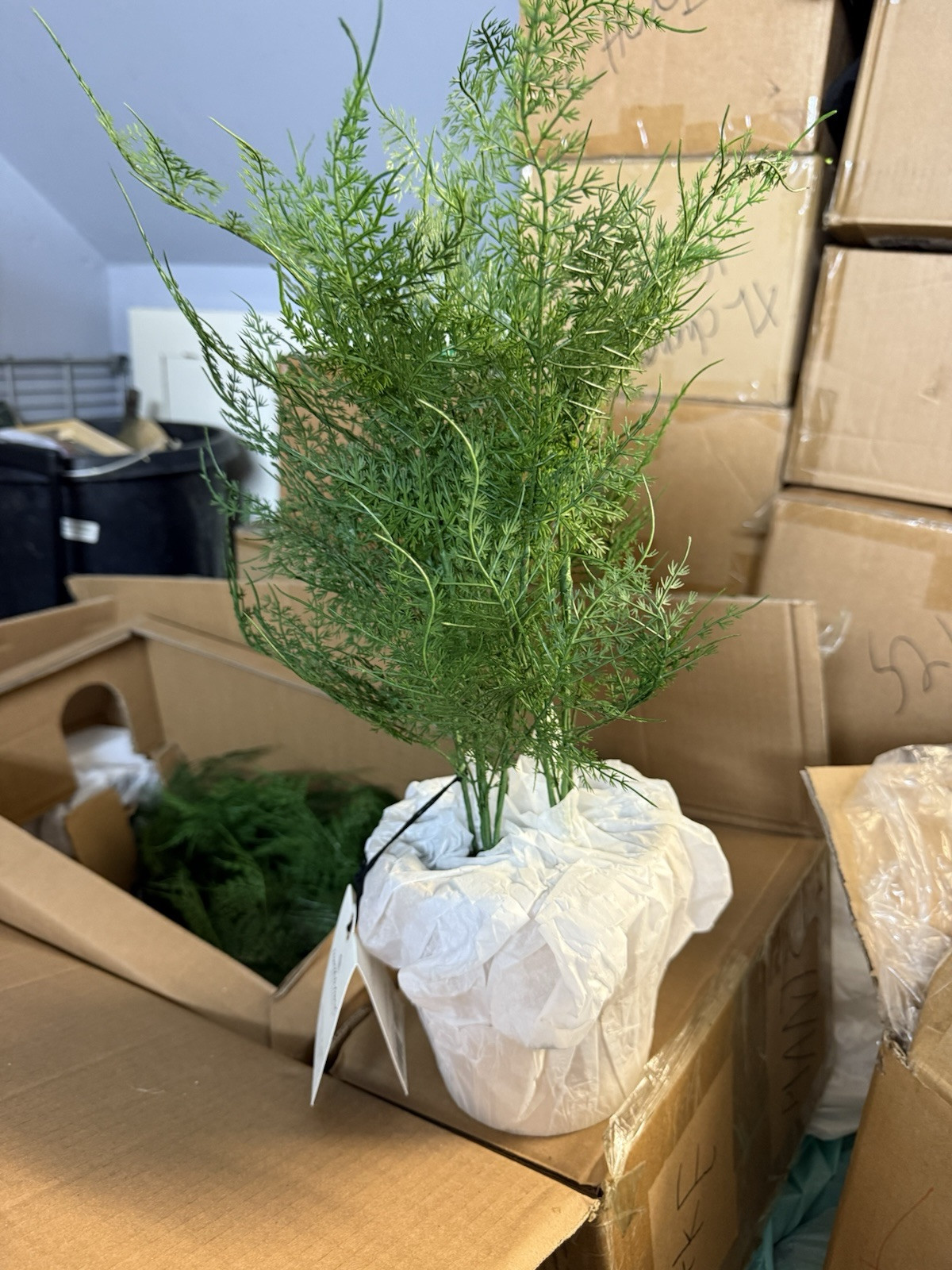 Hearth and Hand with Magnolia Artificial Faux Potted Plants Asparagus Fern