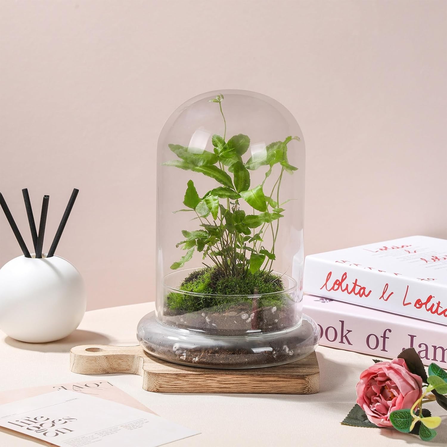 Stylish 8-Inch Glass Terrarium with Base – Perfect Mini Cloche for Home Decor