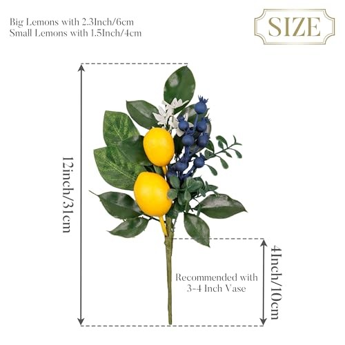 Packs Spring Summer Picks with Lemons Blueberry Eucalyptus Leaves, 4