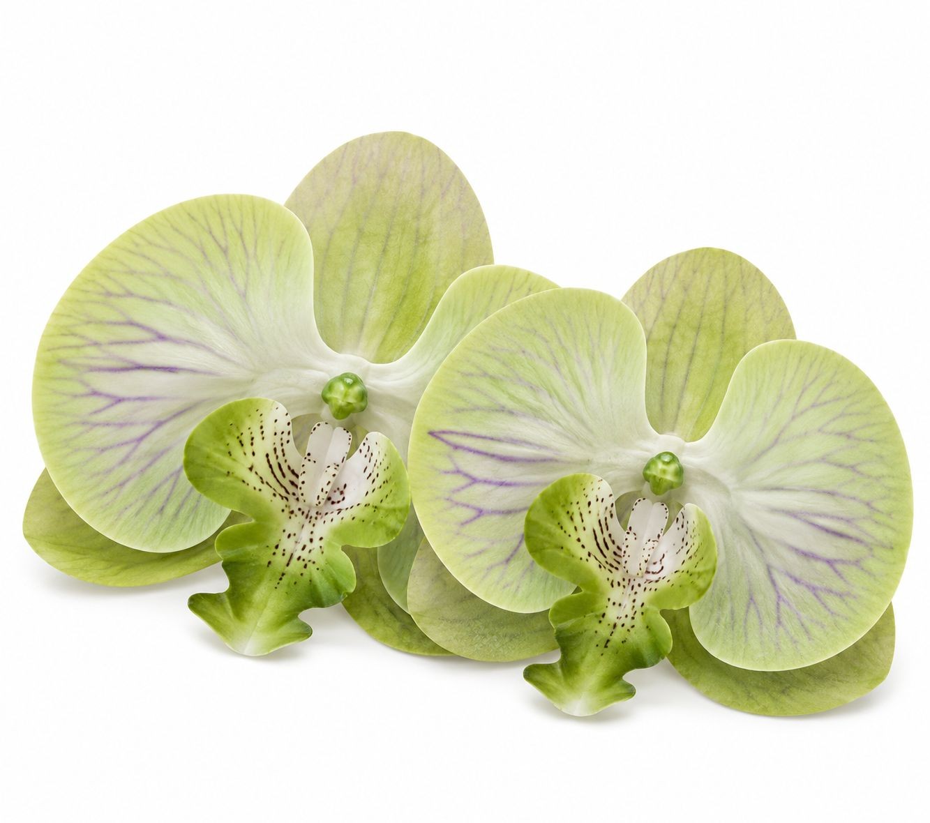 Jade Green Real Touch Orchid Heads Set of 2, 3.5 Inch Phalaenopsis Blooms for Co
