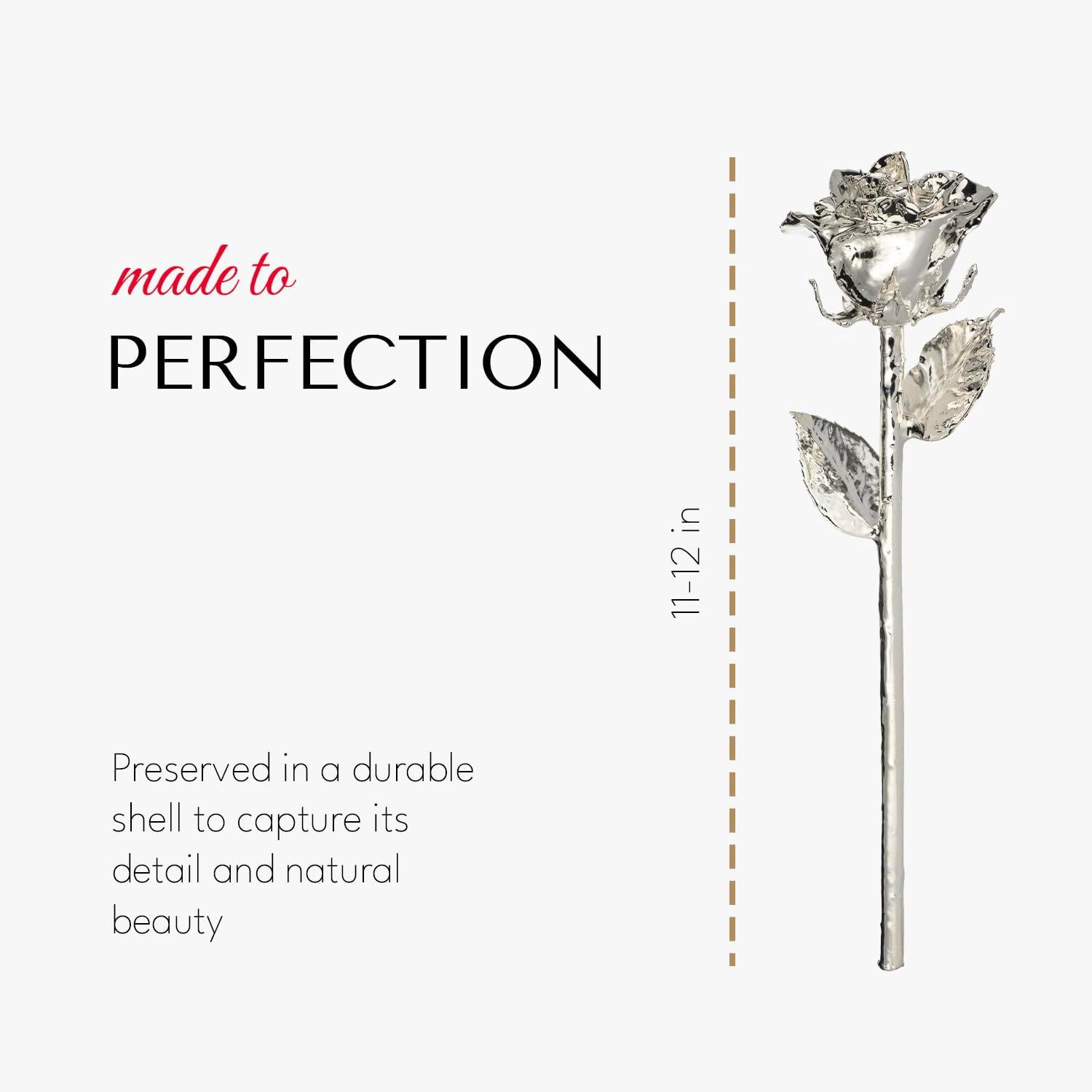 Everlasting Silver Dipped Rose – Unique Gift for Anniversaries & Valentine’s Day
