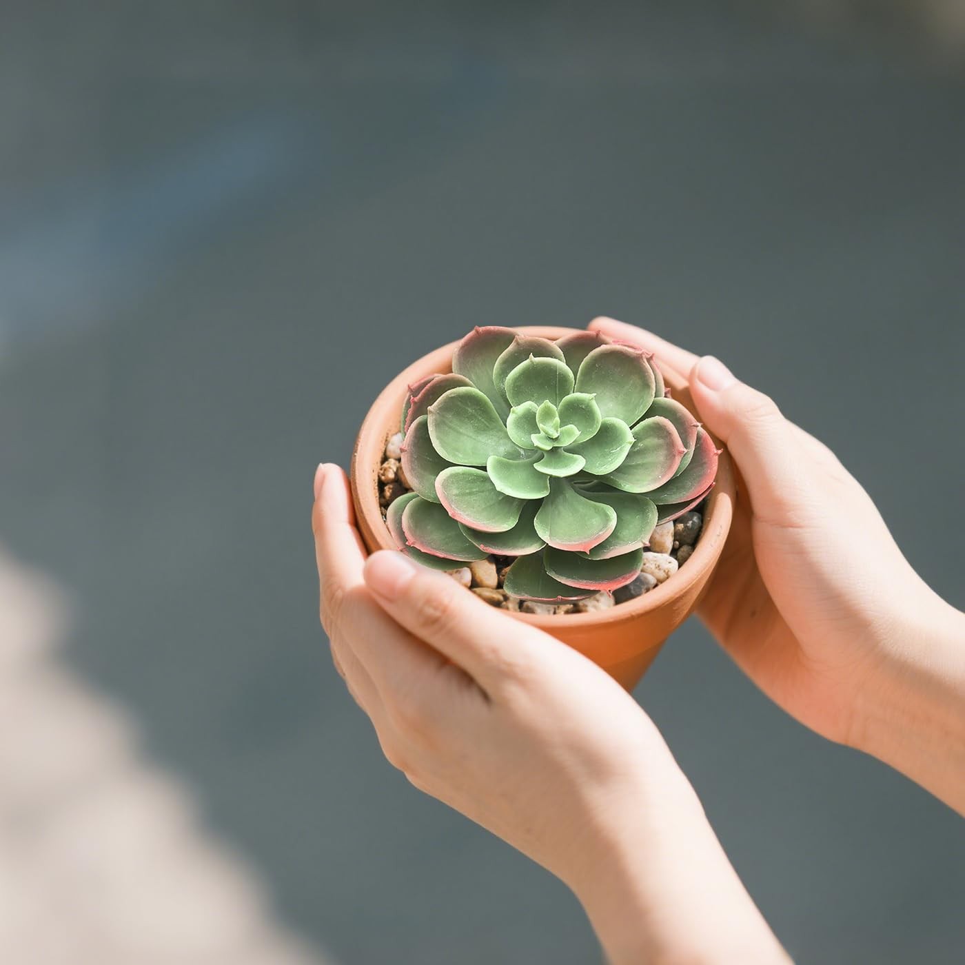 2Pcs Artificial Succulent Plants, Lotus Flower Realistic Fake Succulents, Fak…