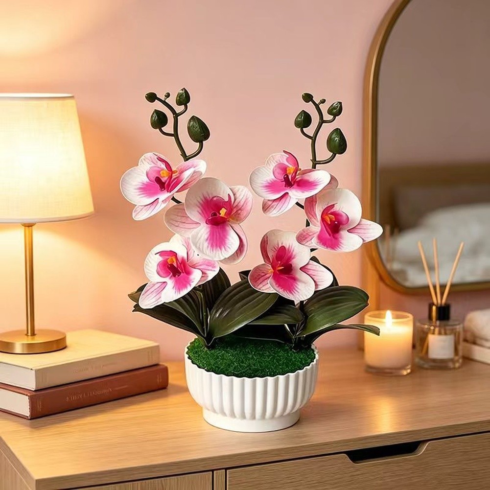 Phalaenopsis Orchid Simulation with Shell Shaped Pot for Home Office Use