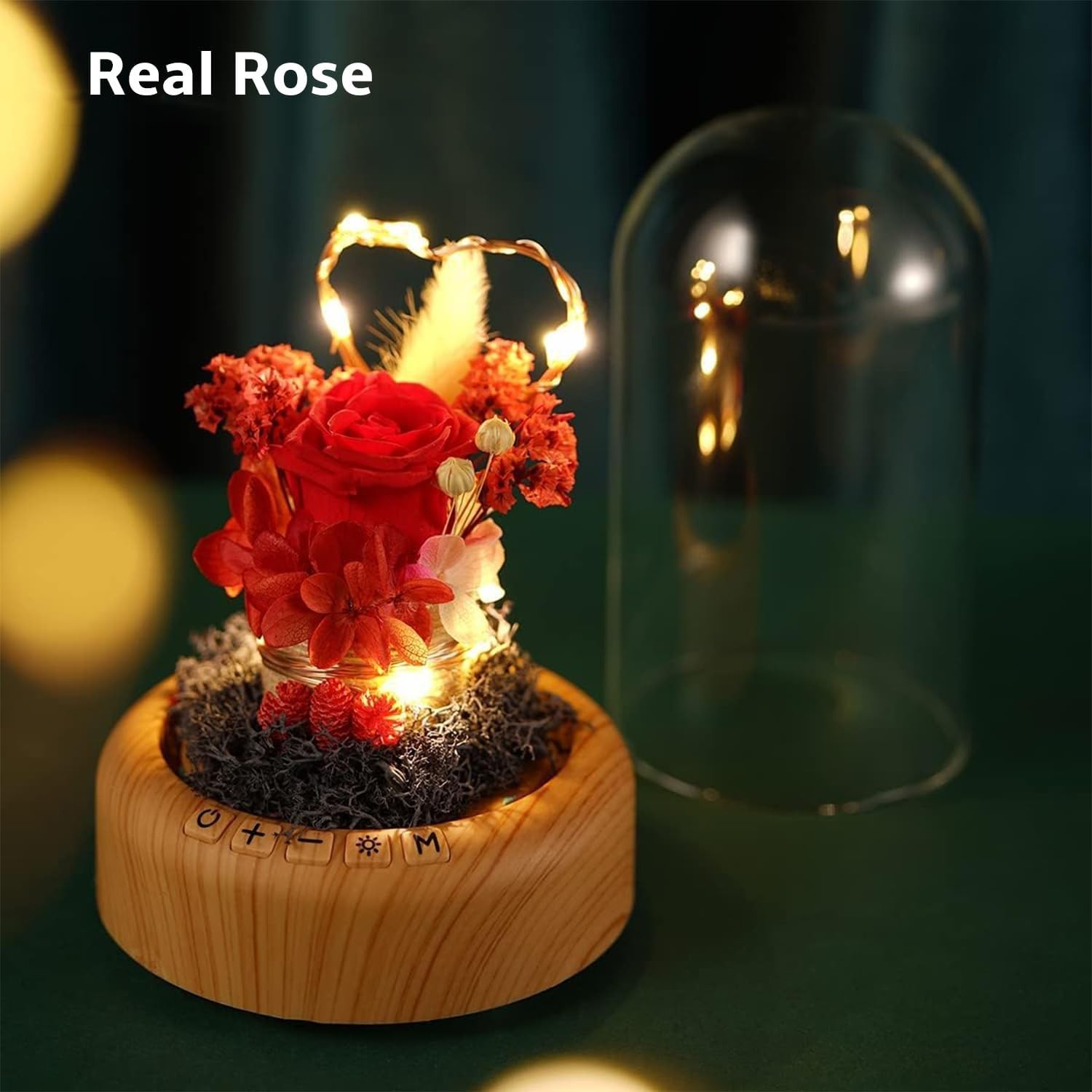 Mother’s Day Red Rose Night Light Real Eternal in Glass Dome, Preserved Rose …
