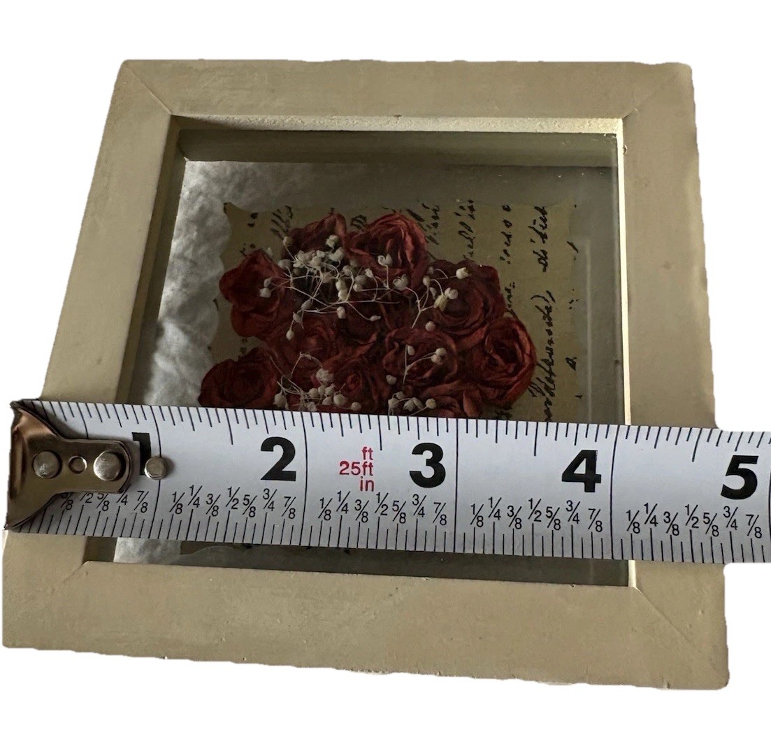 4.75” Preserved Red Roses w/ Newspaper Backing – Flower White Framed Shadow Box