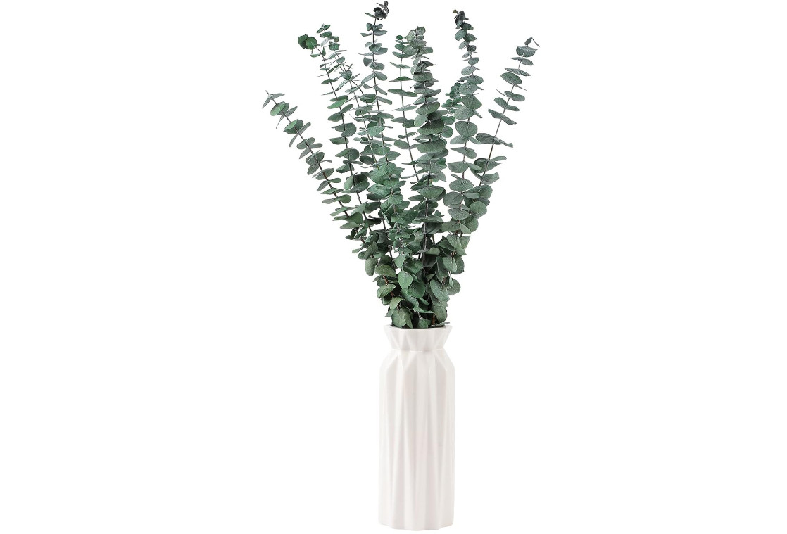 10 Pcs Dried Eucalyptus Stems 17″, Real Eucalyptus, 100% Fresh Leaves, Perfect