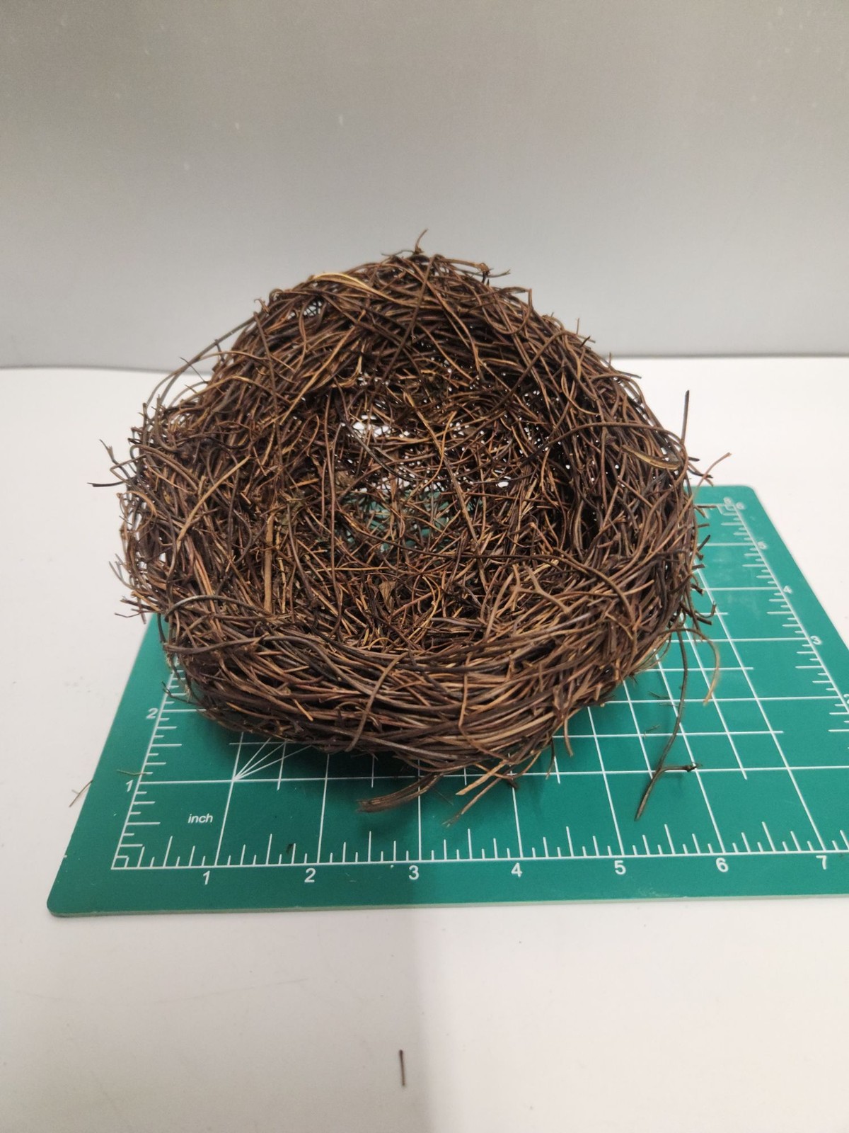 Rustic Twig Bird Nest 6 Inch Natural Handcrafted Nest Farmhouse Spring Decor