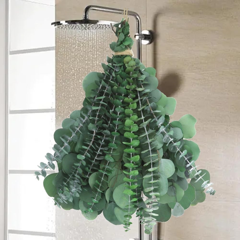 Dried Eucalyptus Stems 24pcs 17” Silver Dollar & Large Leaves for Shower – Spa