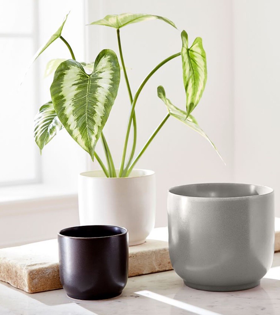 Pottery Barn Faux Striped Leaf Houseplant Retired