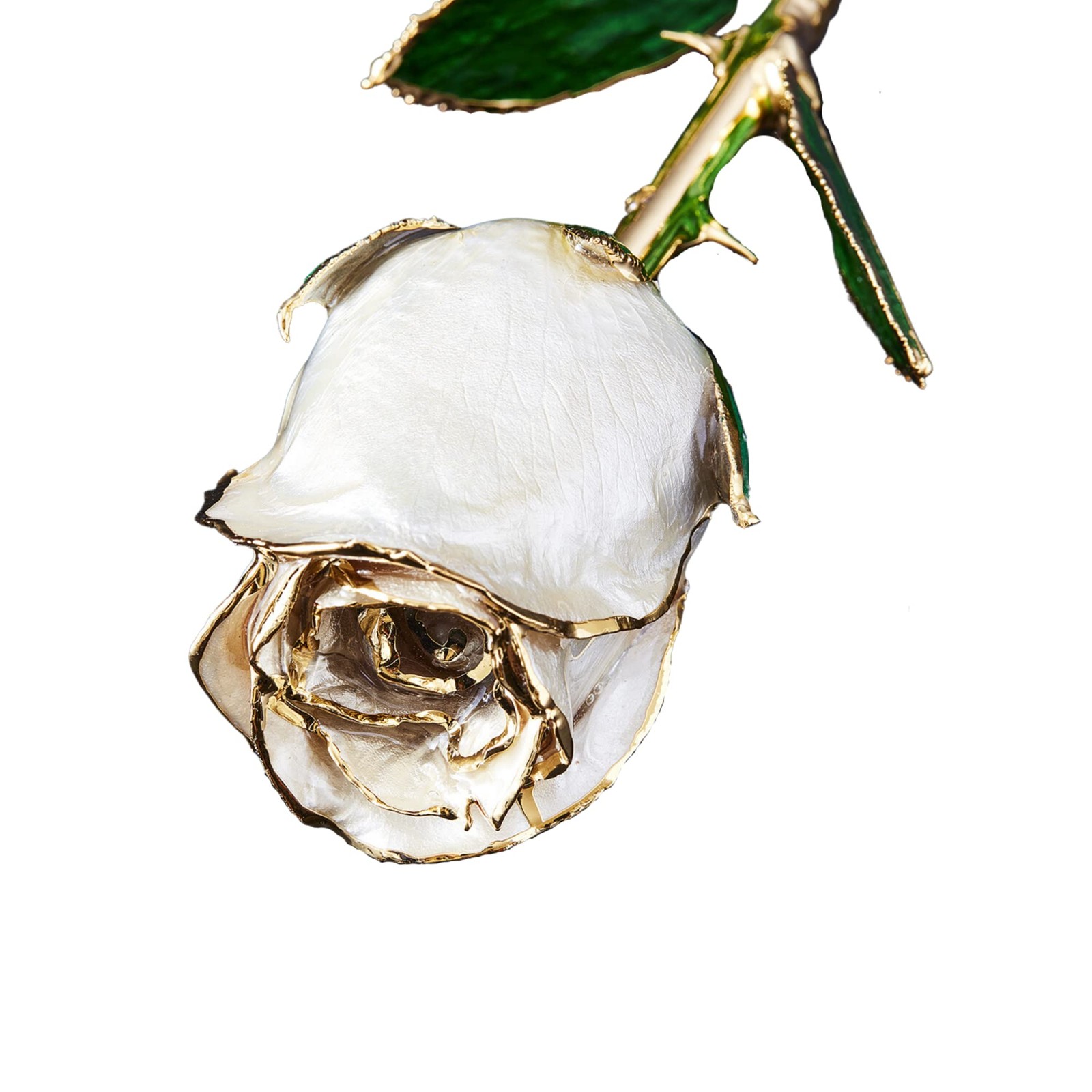 Pearl Collection – Real 24k Gold Dipped Rose – Gift for Her (Angel Dust)