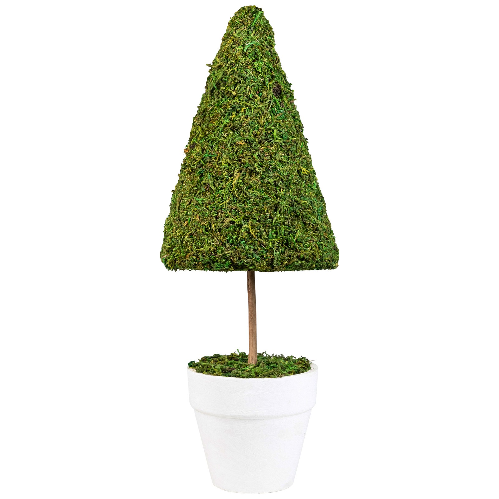 Northlight 20.5″ Green Reindeer Moss Artificial Spring Floral Topiary Tree