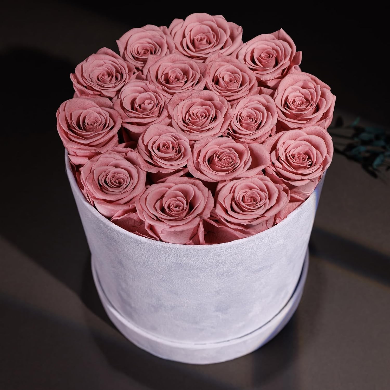 Luxury Preserved Roses in Suede Box – 17 Roses for Anniversaries & Birthdays