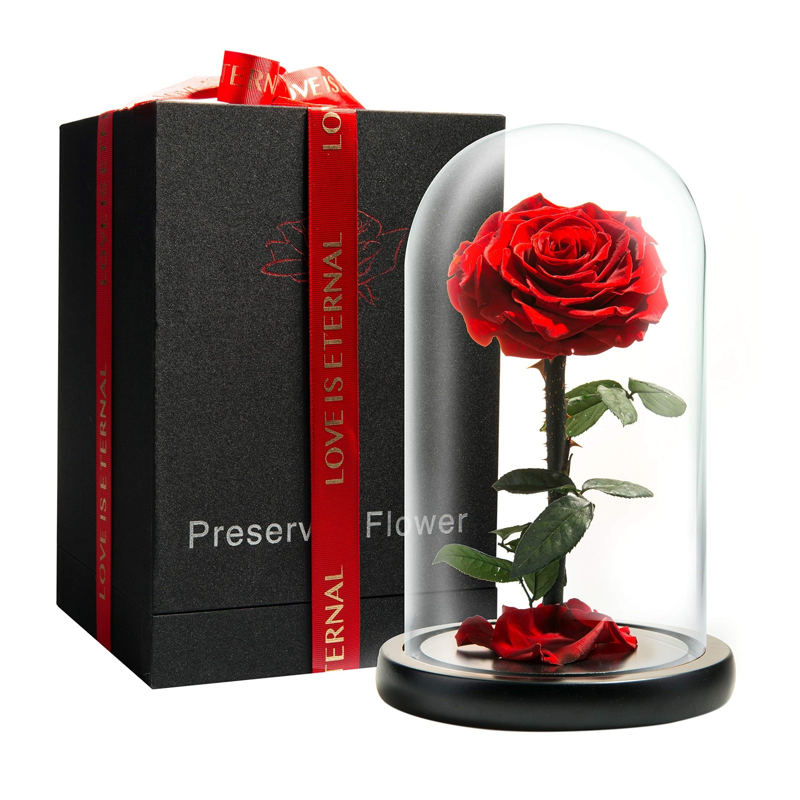 LOVAPPY Forever Preserved Rose – Eternal in Glass Dome – Medium, Red