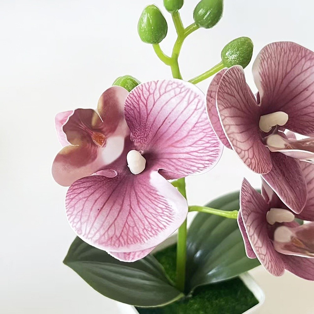 Artificial Orchid Arrangement 3 Bloom 7.09in with Square Pot for Living Room