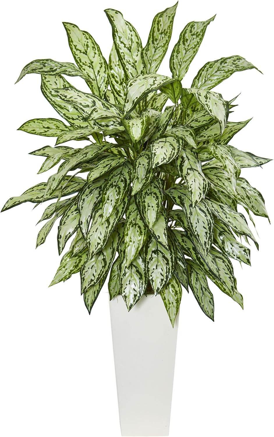 Elegant Silver Queen Plant in Chic White Tower Planter