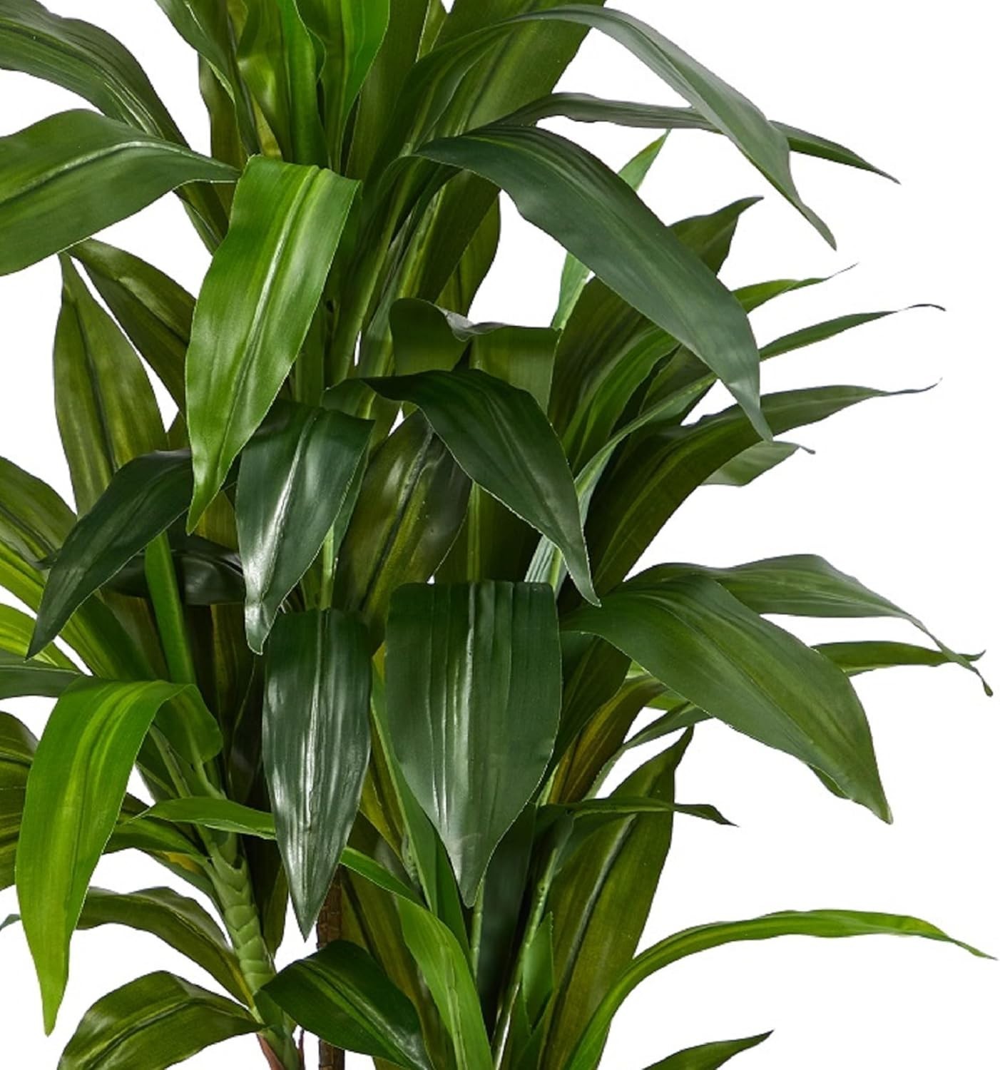 Lifelike 48in Dracaena Silk Plant for Elegant Home Decor – Bendable Branches