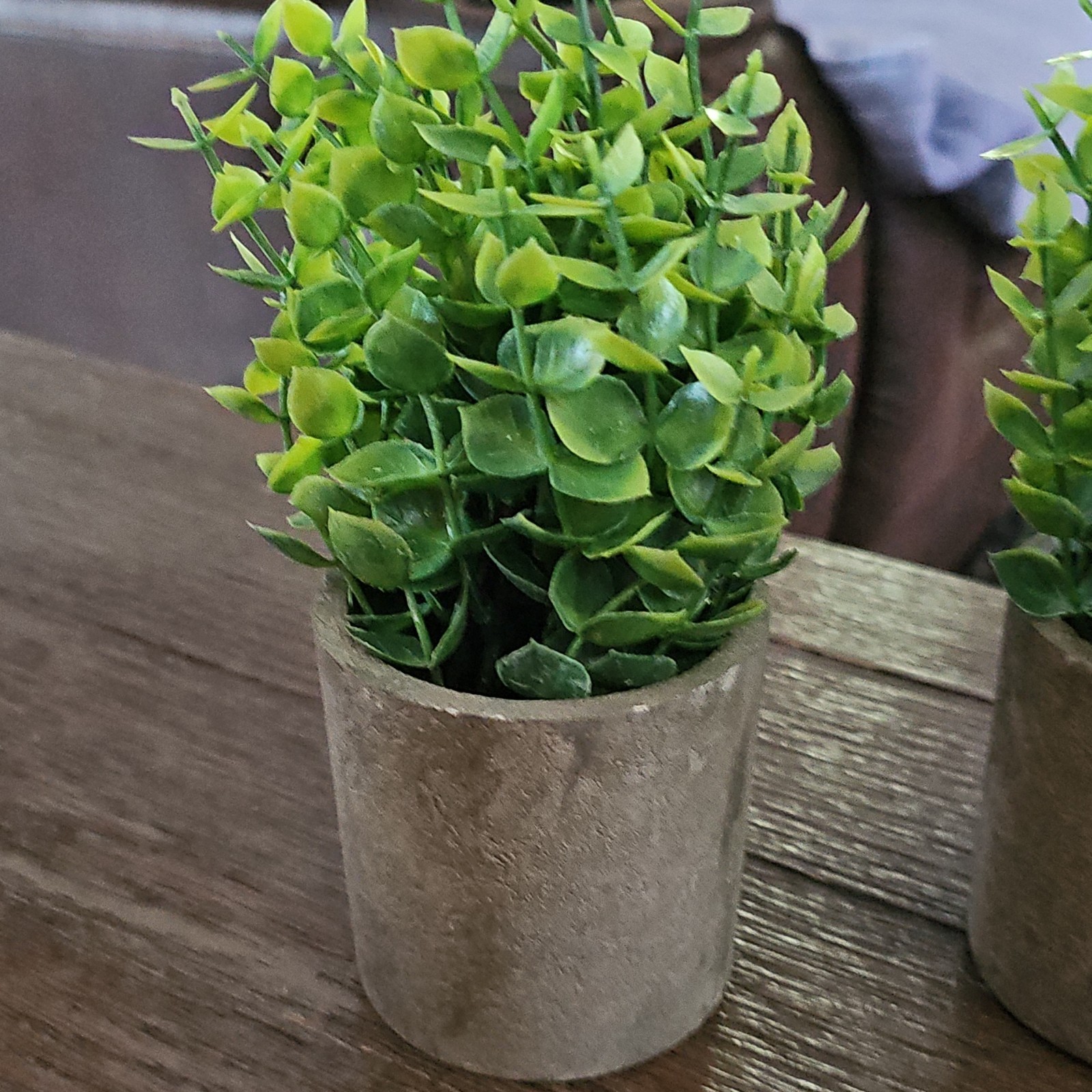 Artificial Green Succulent Leaf & Foliage in Gray Plastic Planter Pot Decor 8″