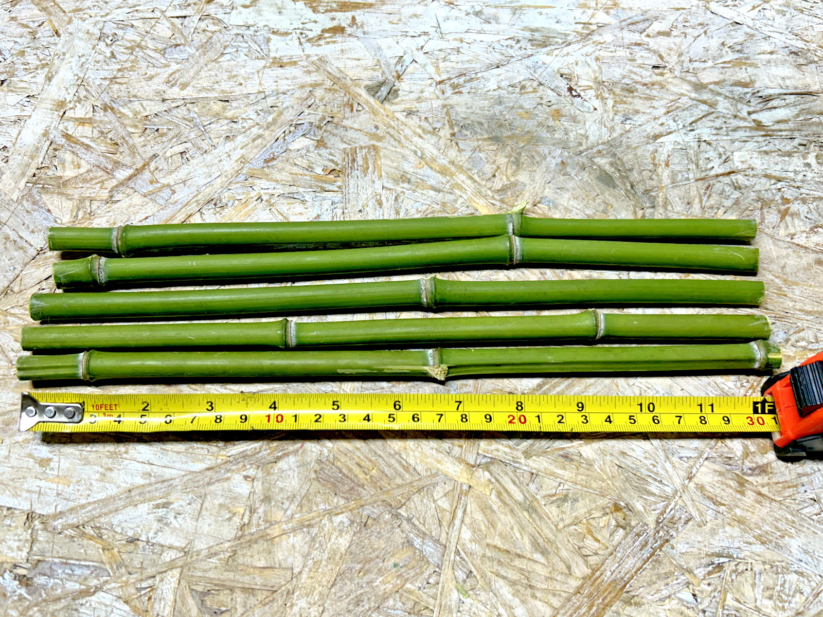 5PCS 1/2″ Diameter Fresh Cut Natural Bamboo For Decor 12″