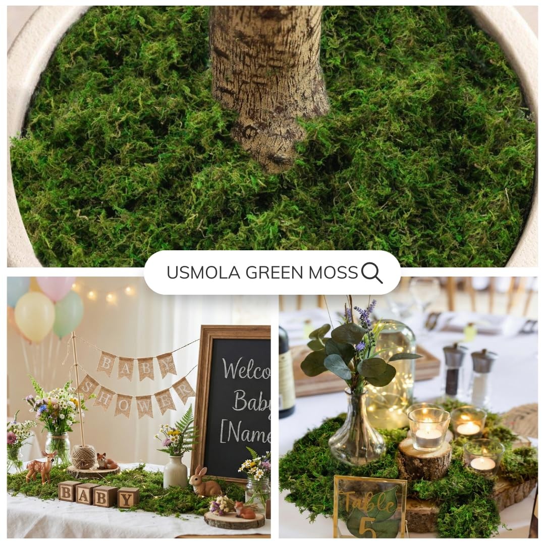 8OZ Fake Green Moss for Crafts, Terrariums, Fairy Gardens & Indoor Plants – N…