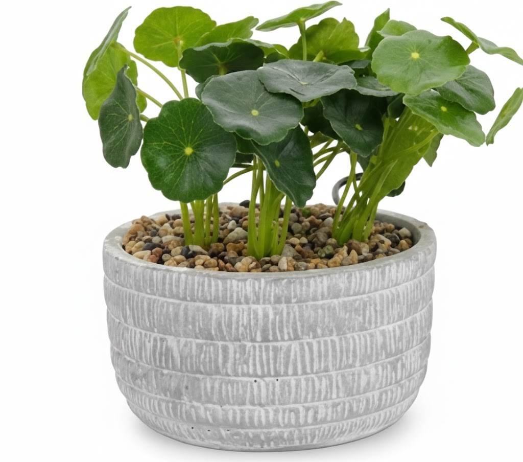 Faux Plants Indoor Artificial Mini Potted Plants Plastic Green Small 4/pk