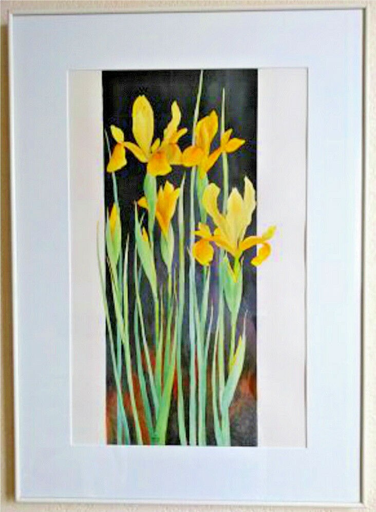 Painting Original Framed Watercolor Yellow Green Flowers Floral Irises Garden US