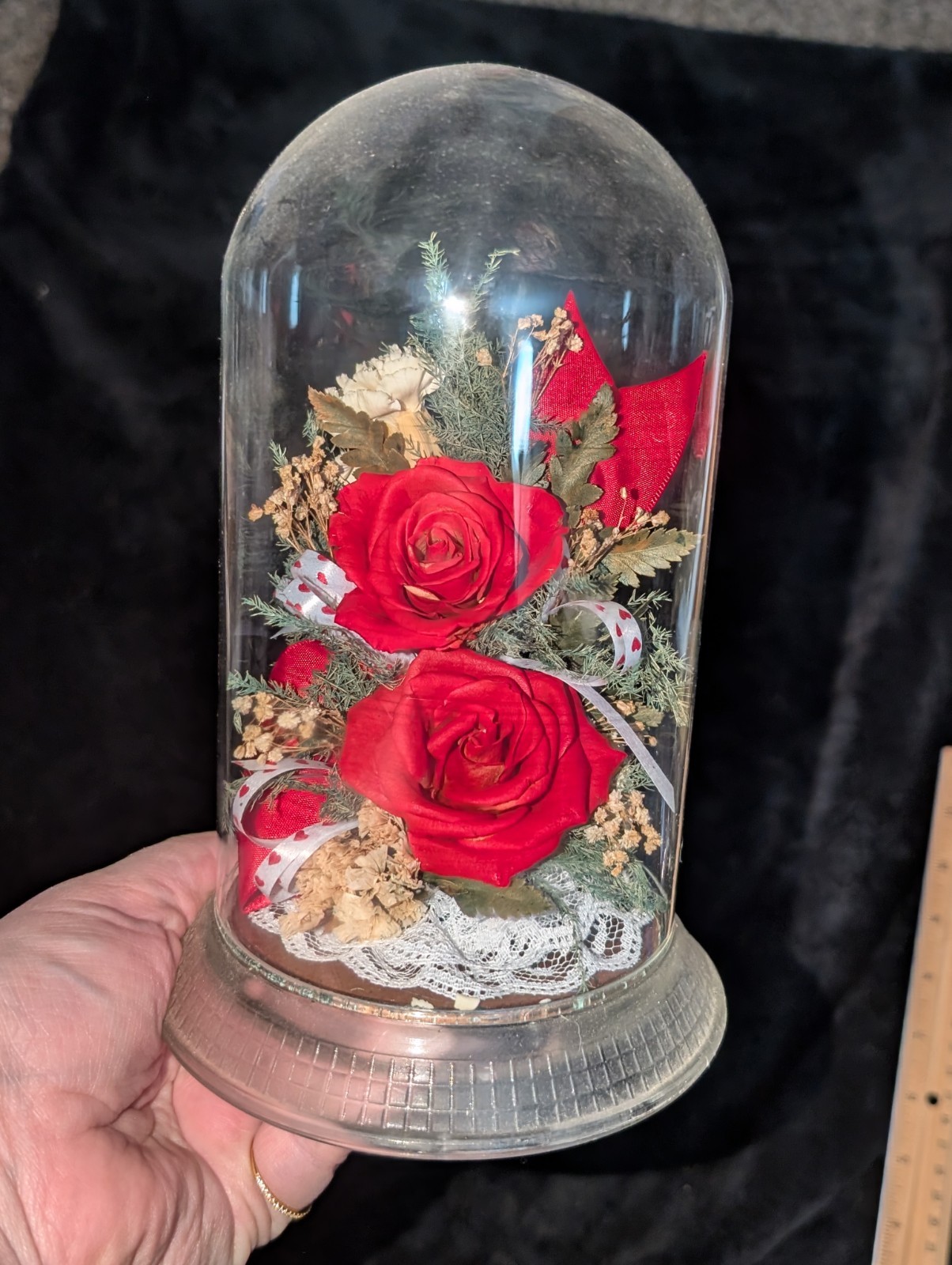 Vintage Glass Cloche With Real Freeze Dried Red Roses 8″X5″