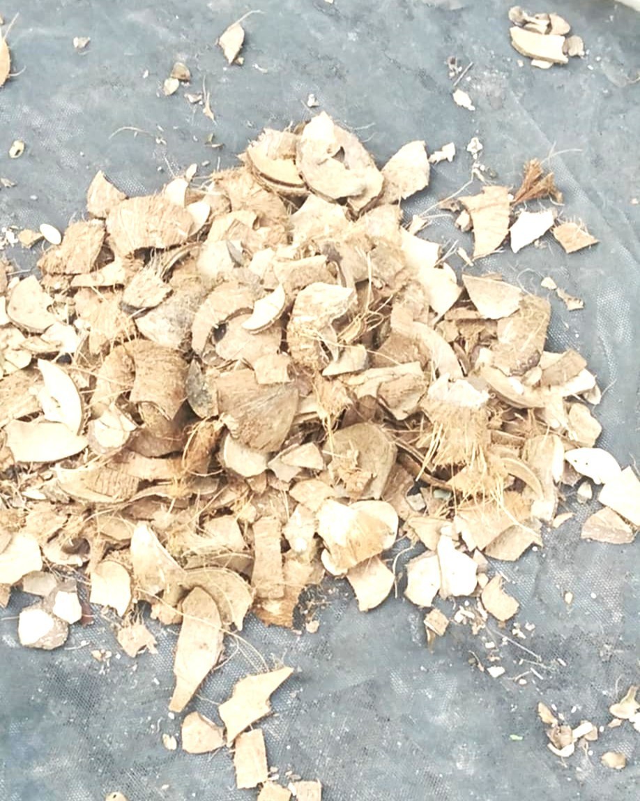 Natural Coconut Shell Chips – Eco Mulch, Craft & Reptile Bedding, Sustainable!