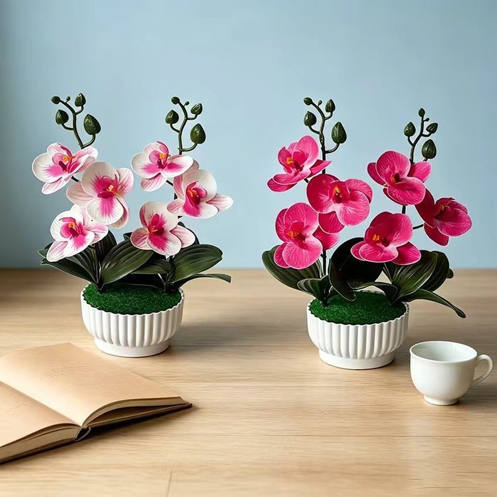 Phalaenopsis Orchid Simulation with Shell Shaped Pot for Home Office Use