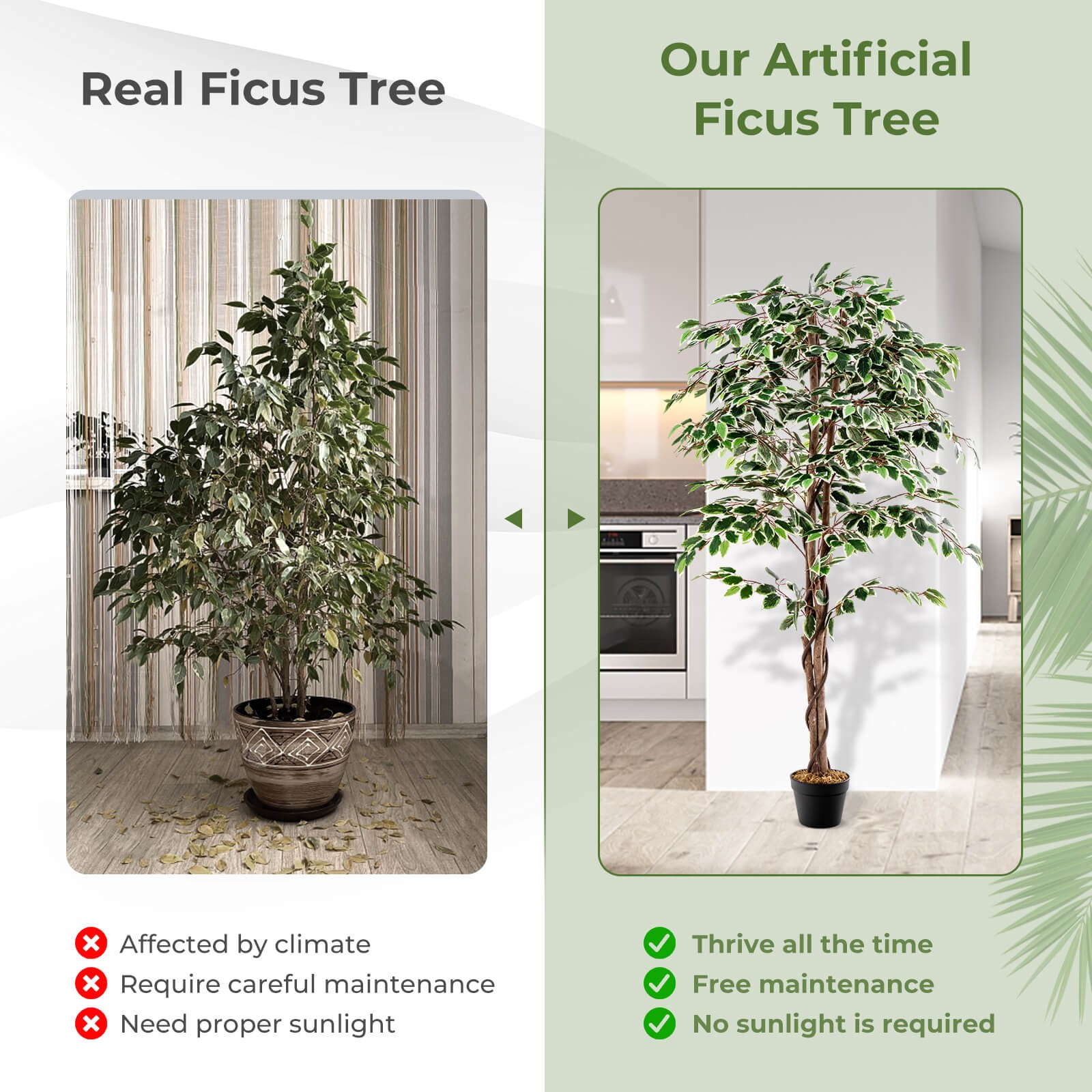 63″ Tall Artificial Ficus Tree Solid Wood Trunks 3 PE Vines PP Nursery Pot