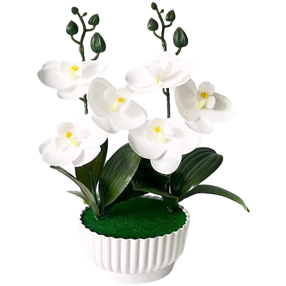 Phalaenopsis Orchid Simulation with Shell Shaped Pot for Home Office Use