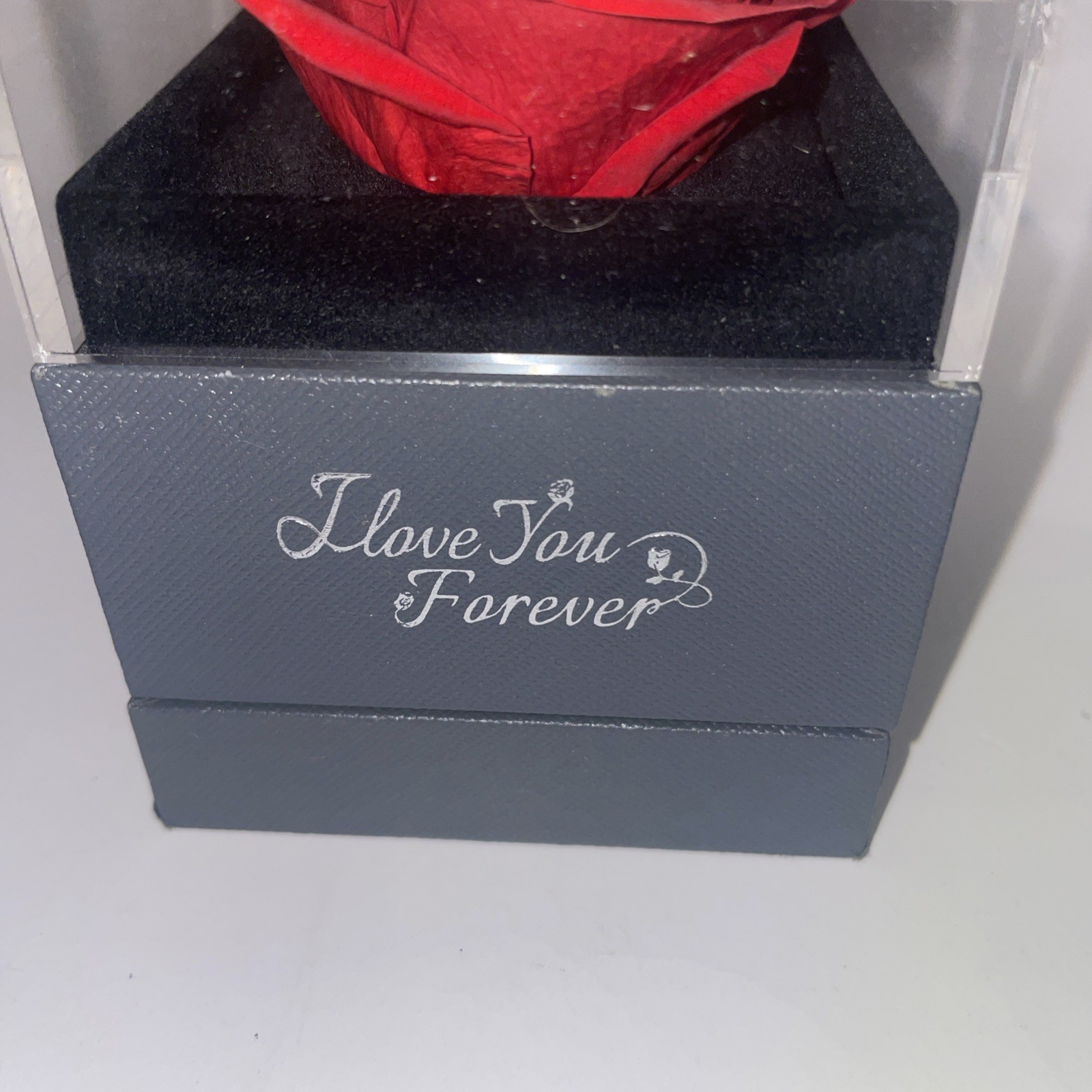 Preserved Eternal Real Rose Flower Gift Box With Jewelry Box Best Wishes