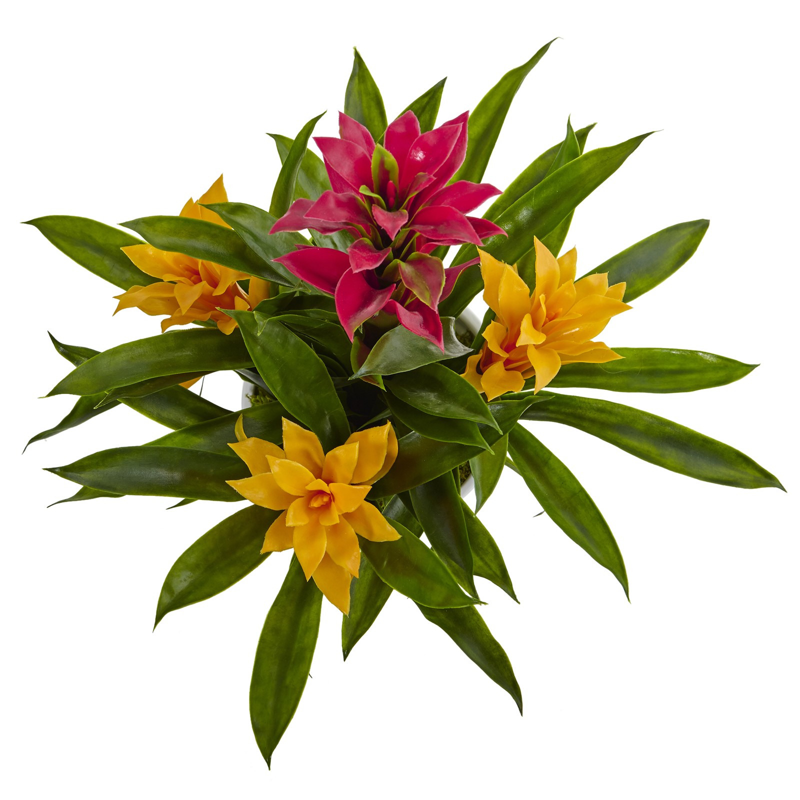 Bromeliad In White Swirl Vase faux Plant Natural Centerpiece