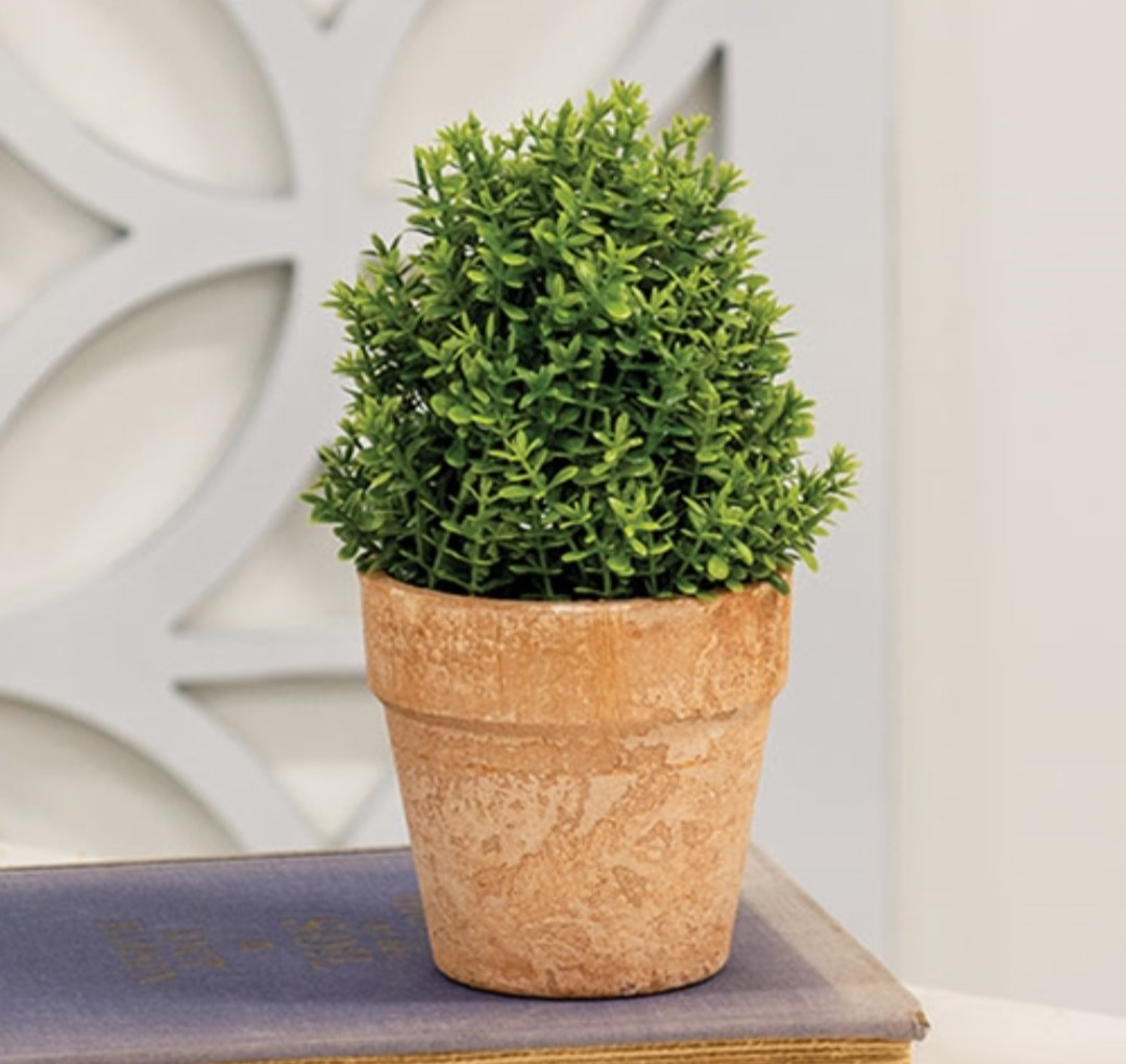 6-1/2″ Potted Artificial Mini Boxwood Table Top Planter
