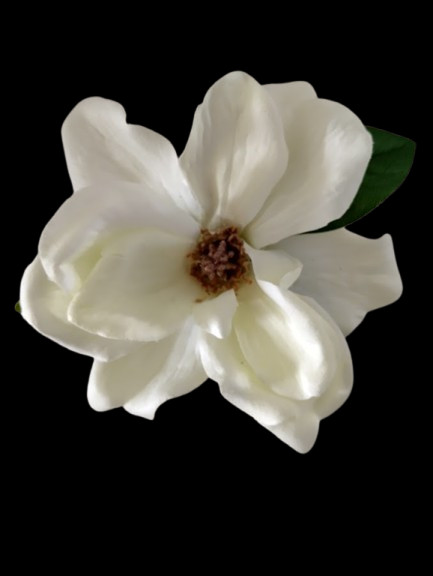 Magnolia table favor decoration CREAM