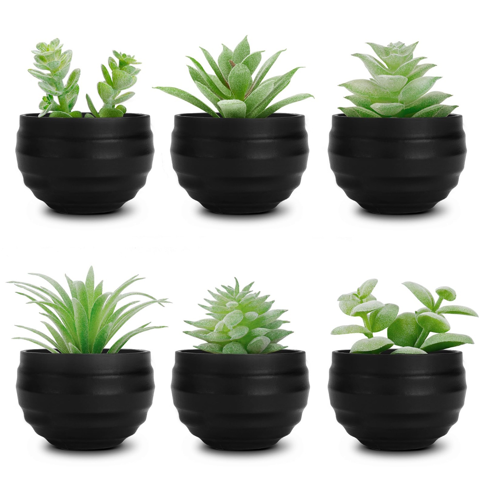 6 Pack Fake Succulents in Black Pots – Realistic Greenery for Halloween Decor, G