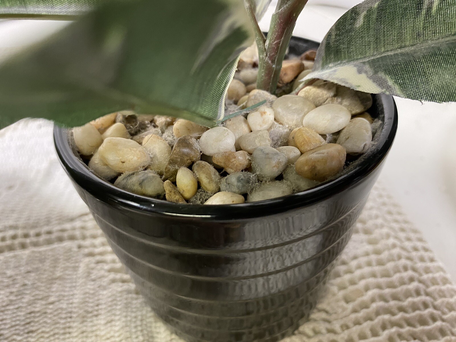3 Artificial Simulated Plants Pineapple,hobby lobby Glass Bottle, Plant G89